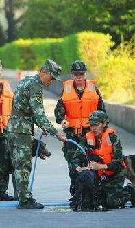 姜潮动态表情包,动态演绎欢乐瞬间