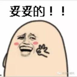 风吹 表情包,表情包中的诗意瞬间